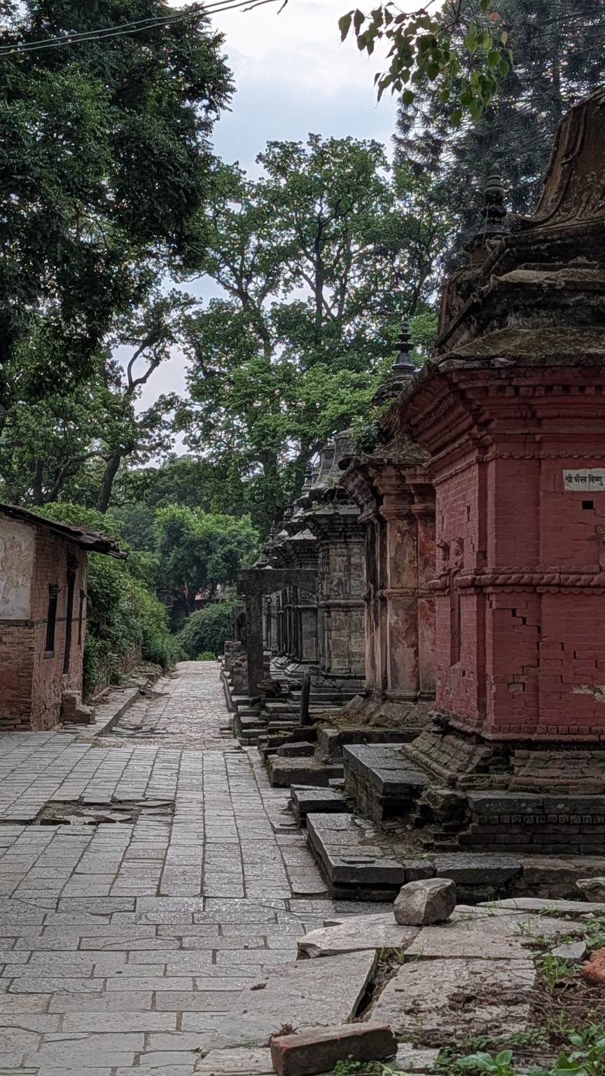Ancient temple path surrounded by trees